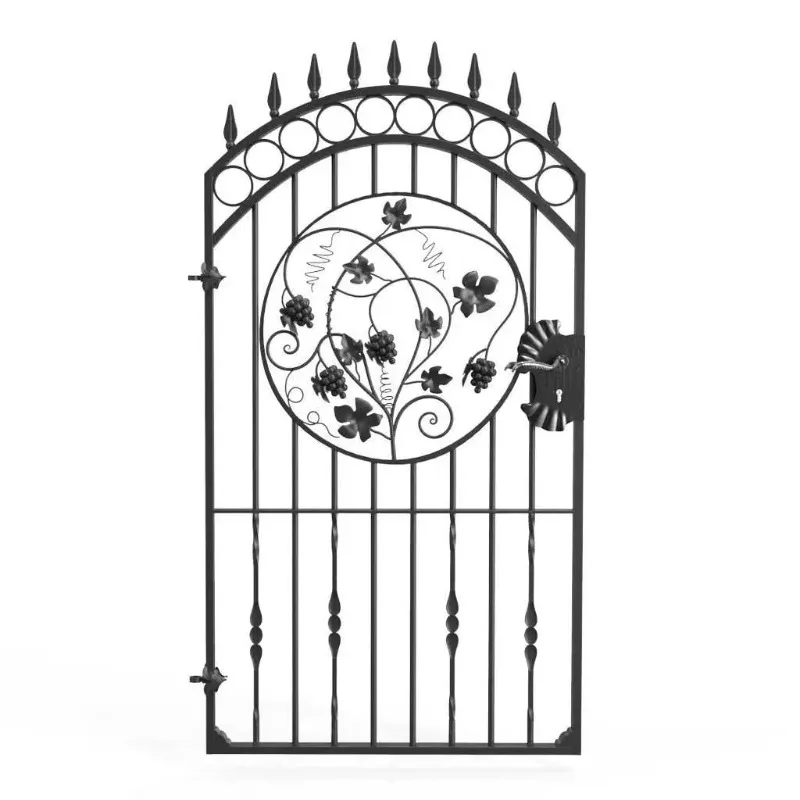 

Small Iron Main Gate Designs Home Front Gate Fencing Trellis Gates