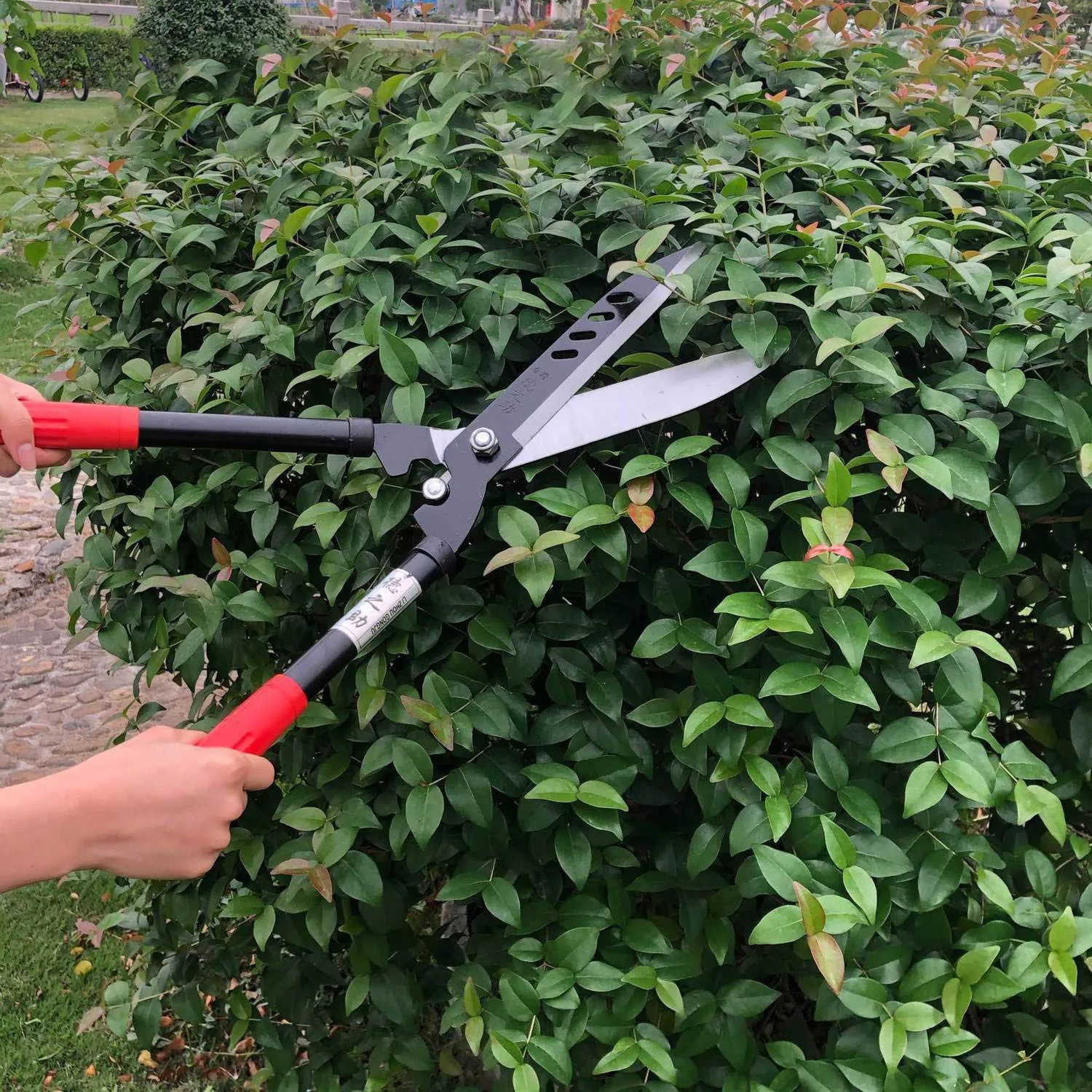 Cortador de Cerca Viva Profiss - Gardening Tools Japanese avaliação e preço