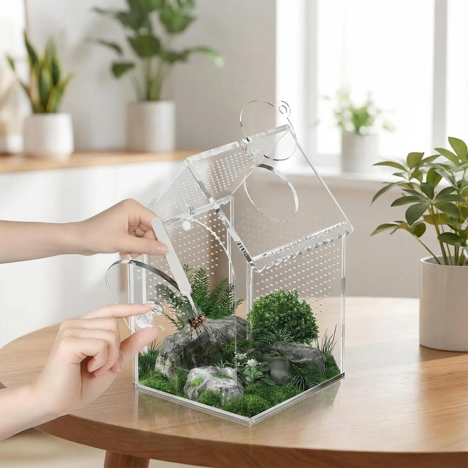 

Террариум для пауков: акриловый изолирующий контейнер с защитой от побега для прыгающих пауков, мелких домашних животных и рептилий