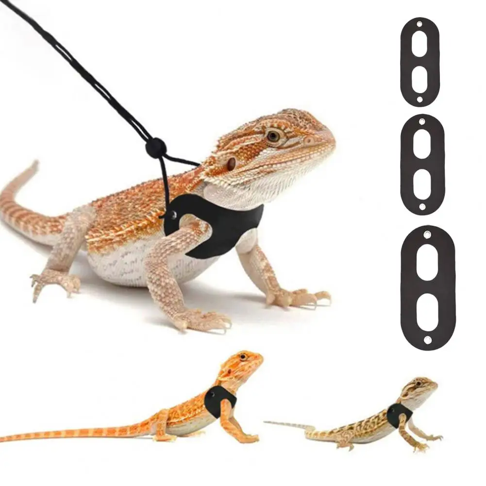 1 Set Lizard Traction Rope Adjustable Soft Lizard Leash Comfortable Pet Lizard Traction Belt Reptile Harness Set Pet Supplies