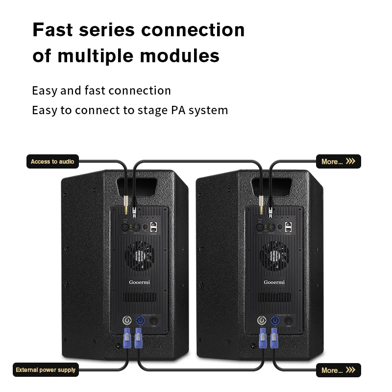 PT1000 Modulo amplificatore professionale a 2 canali Scheda amplificatore DSP per altoparlante attivo con dente bule