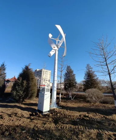 ESG Hochwertiger Fabrikverkauf Heimgebrauch Off Grid System Wind