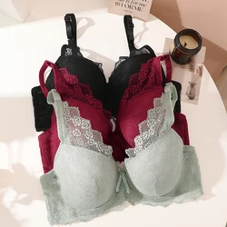 FINETOO Sexy Lace Bras For Women Female Soft Underwear Push Up Bra Comfort Brassiere Perspective Lace Bras Sexy Lingerie Low Cut