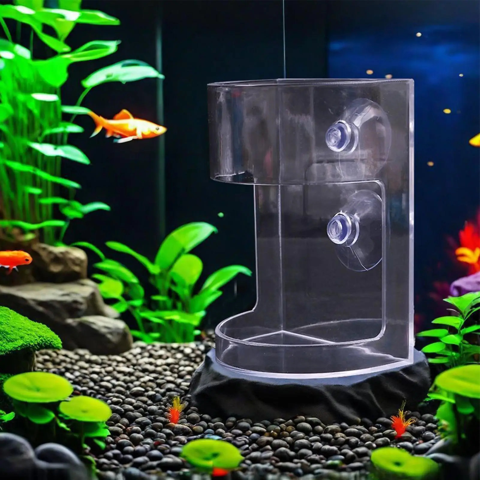 Rutschfester Aquarium-Futterring Fischfütterungszubehör Transparente Fischfutterschale Schwimmender Futterautomat Quadratisch für Aquarien