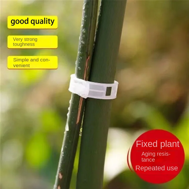 Clips de Support de Plantes en Plastique Réutilisable, Protection de la Vigne, Greffe de FiosphTools pour Légumes, Tomates, Fournitures de Jardin,