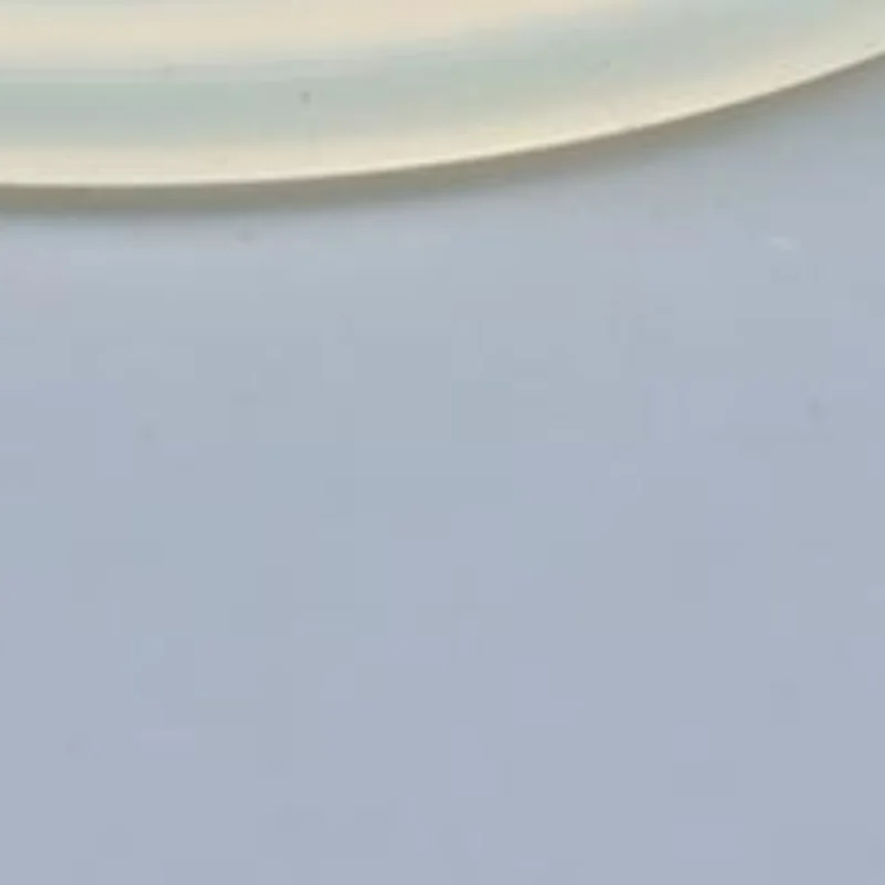 

1 PCS GEA METATRON Milk Meter SERVICE Diaphragm 7761-9905-000 For Dairy Cow Milking System