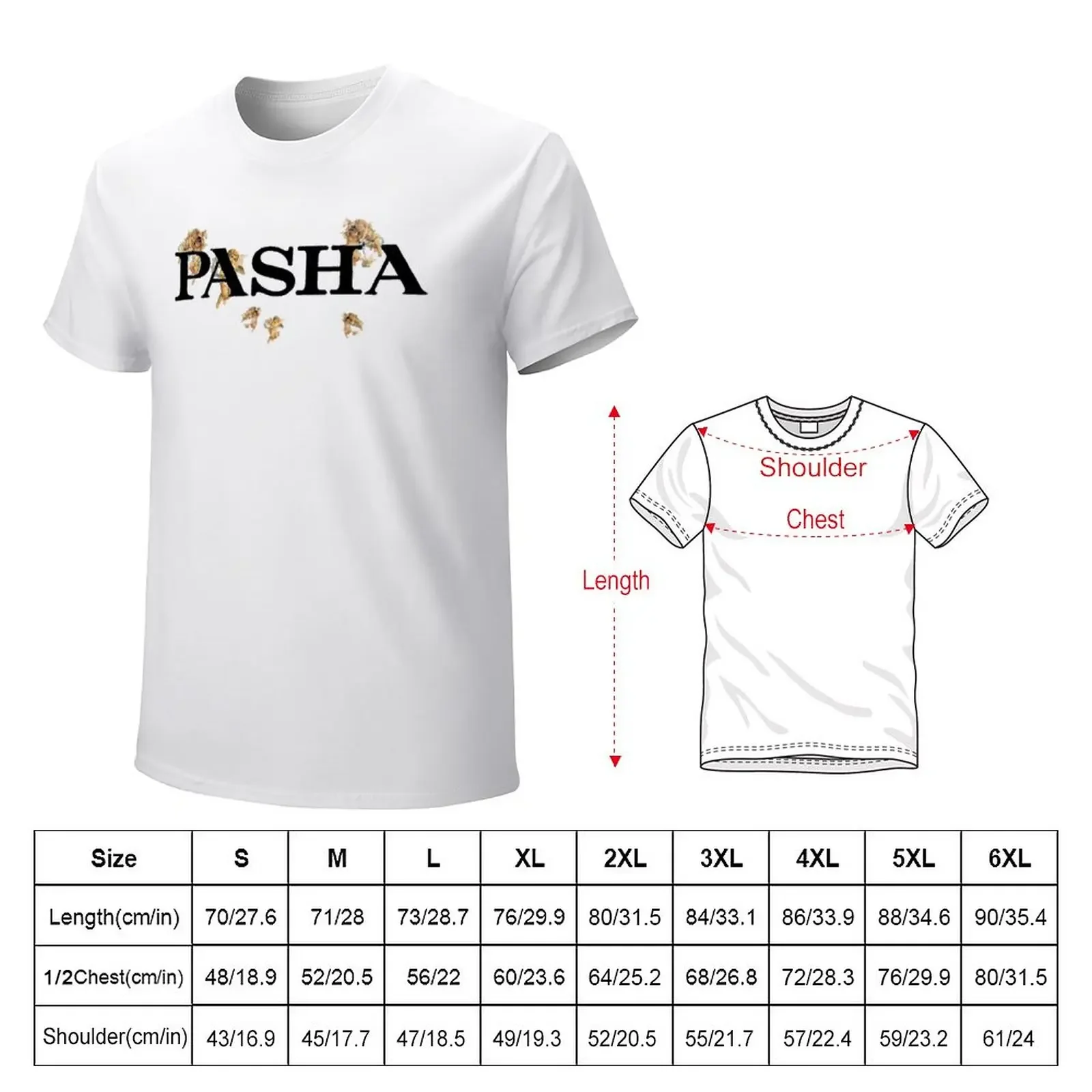 Pashanim logo T-Shirt vintage clothes cute tops designer t shirt men