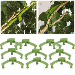 Branch Puller Branch Holder Clip Iron Stand for Plants Adjustable Plant Accessories Reusable Plastic Clamp Greenhouses Grafts