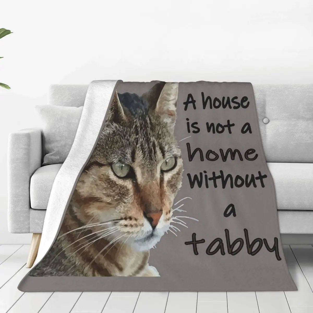 A House Is Not A Home Without A Tabby Cat Blankets Flannel Sofa Throw Blankets For Home Bedroom Office Throws Bedspread Quilt