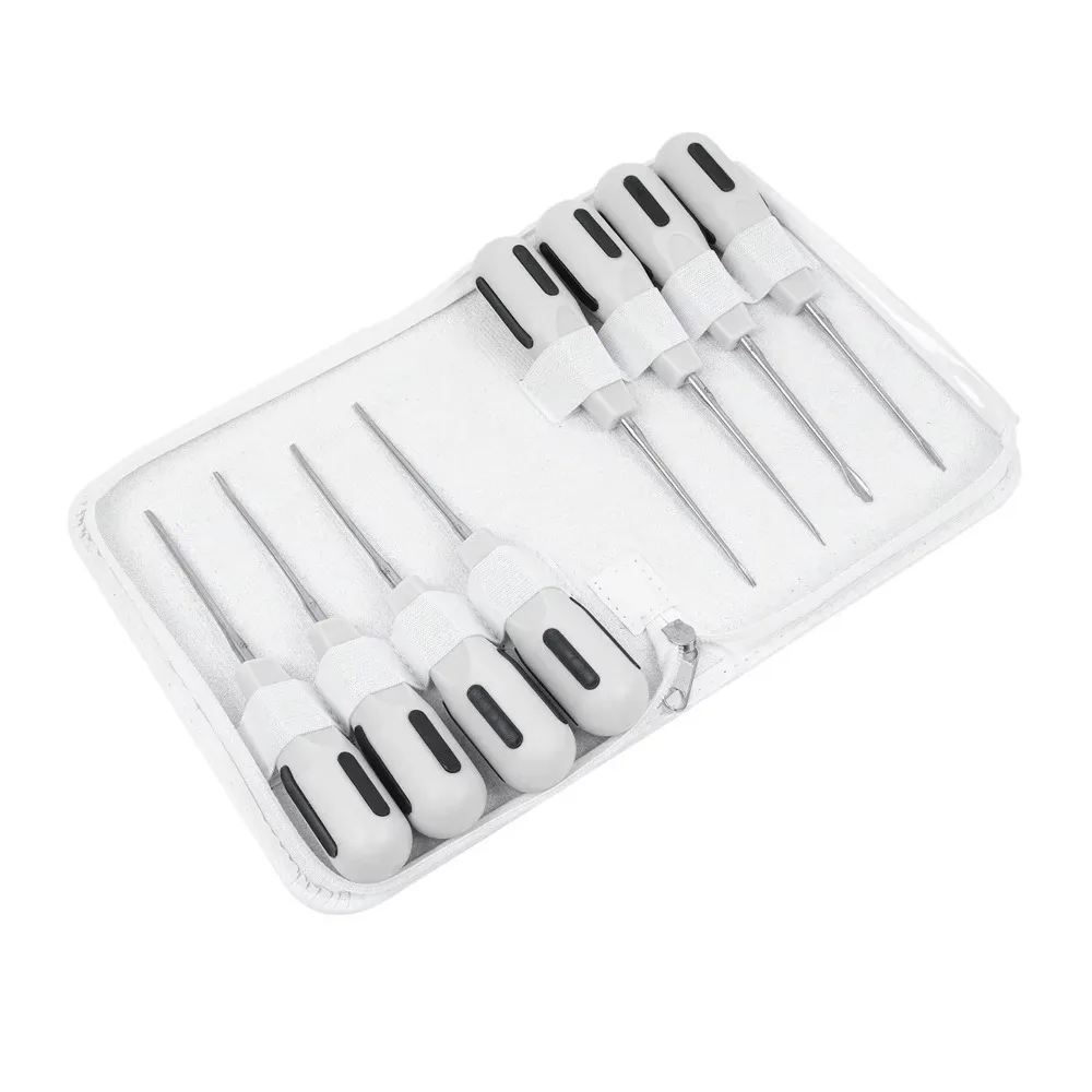 8pcs Stainless Steel Dental Luxating Lift Set  Curved Root Elevator  Dentistry Surgical Screwdriver