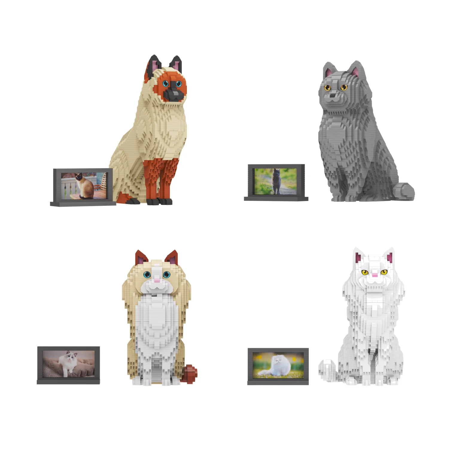 

Набор микро-конструкторов серии Cute Cat, декоративные фигурки животных для рабочего стола, коллекционные модели из кирпичиков, подарки на день рождения для мальчиков и девочек