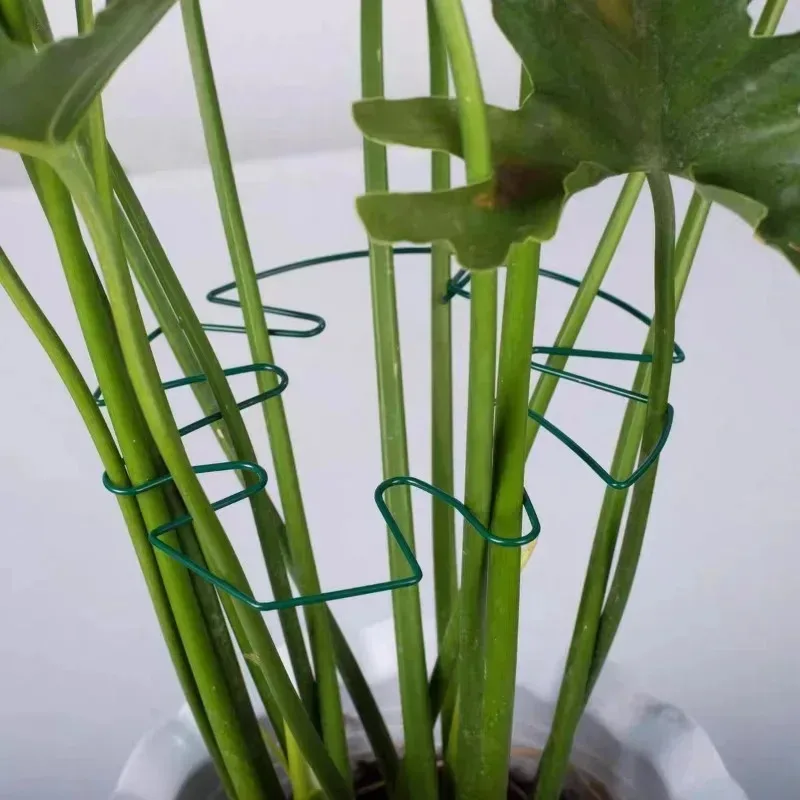 Plant Fixing Bracket Monstera Shaped Plant Support Stake Flower Shaped Support Pile Garden Balcony Rustproof Decoration Stand