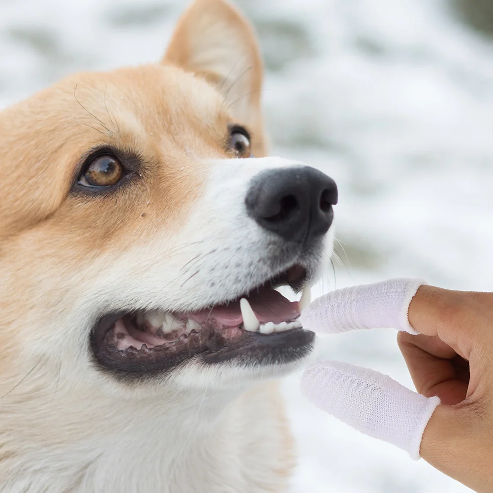 8 pçs escovas de dentes pet escovação dedo berço ferramenta cuidados orais gato confortável cão branco flexível