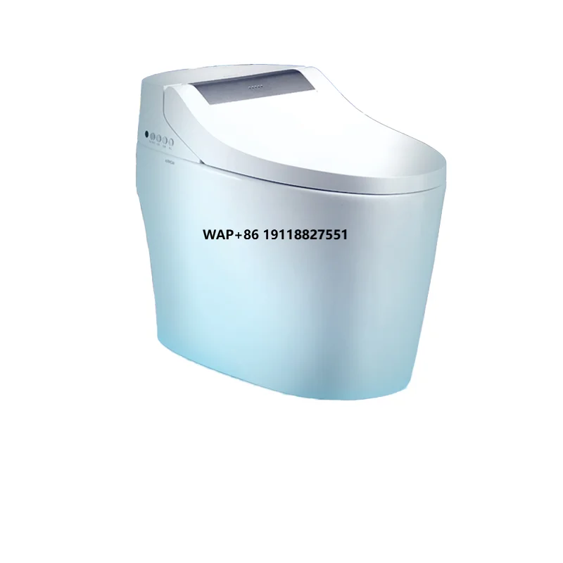 

ARROW Brand Smart Toilet WC Sanitary Ware Auto Bidet One Piece Ceramic Cleaner Bottle Bowl Washdown Elongated Shape Included