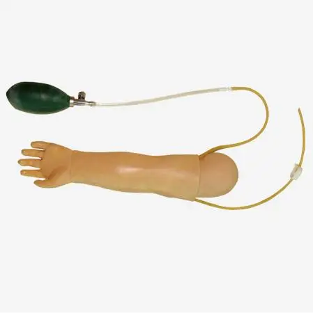 Infant Artery Puncture Arm Training Simulator