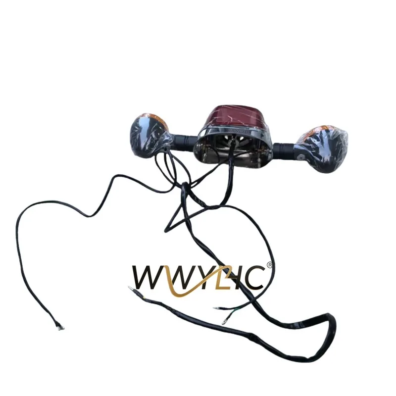 

Подходит для задних фонарей Qianjiang Kaiwei Aurora QJ200-2G/150-2G/125-2G, левый и правый указатели поворота