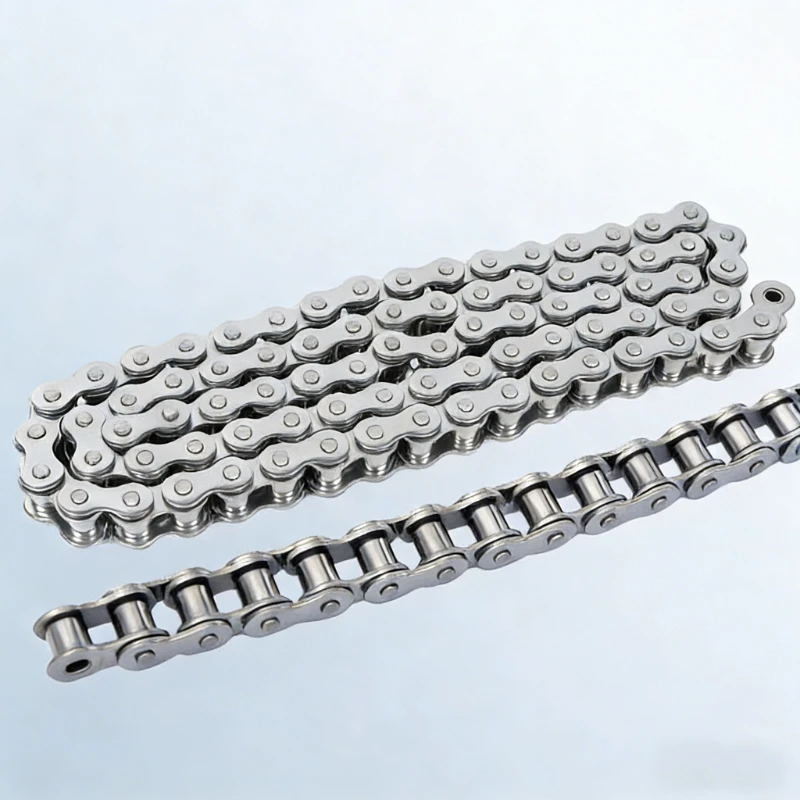 1pcs 304 Stainless Steel Roller Chain 1-1.524 Meter Single/Double Strand Industrial Strength 04C 05B 06B 06C 08A 08B 10A 12B