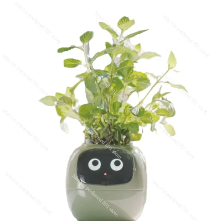 

IVY smart flower pot plant cute pet expression flower pot desktop planter interactive plantsio English