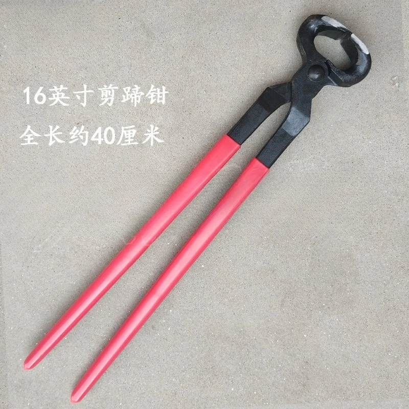 A full set of tools, hoof clipper, nail clipper, nail clipper, horseshoe file, hoof trimming, nail hammer
