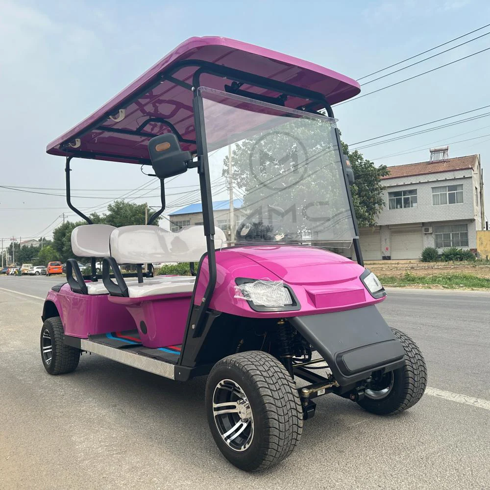 سعر الجملة 2 4 عربة جولف كهربائية للركاب الأكثر مبيعًا سيارة جولف حمراء 4 مقاعد مرتفعة على الطرق الوعرة عربة جولف #1