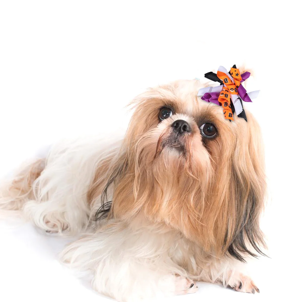 

10 Pcs Pet Hair Bows Dog Pets Bands Ring Rubber Halloween Grooming Ties Accessories