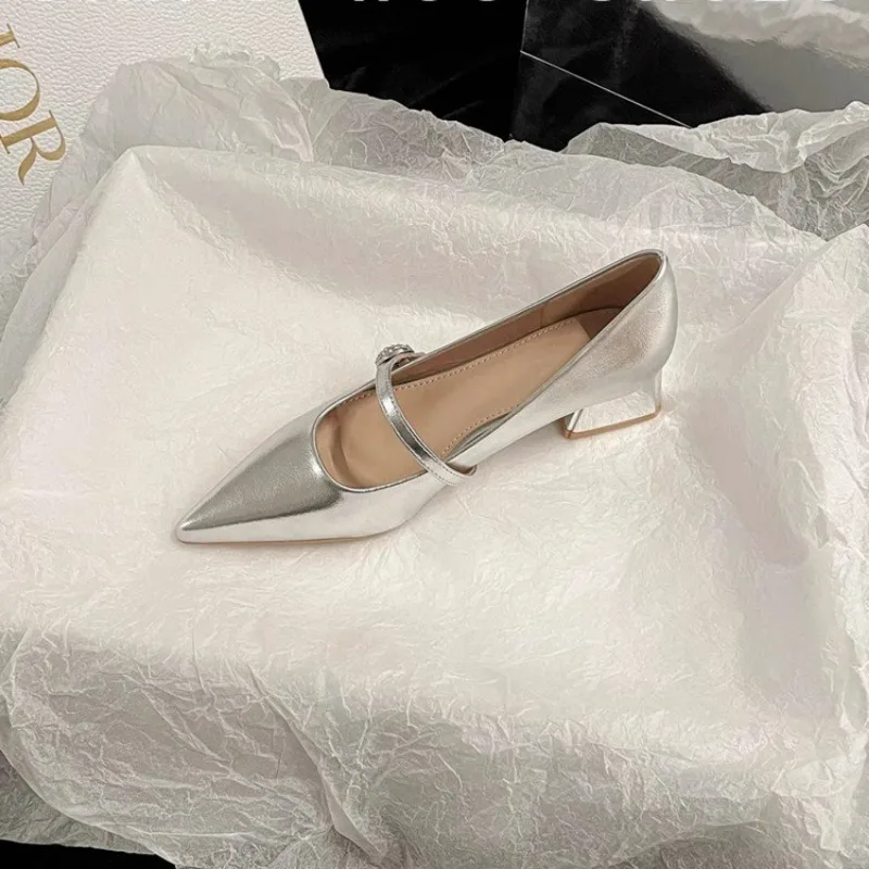 Pointed Toe Women Shoes 2024 Spring New Silver Mary Jane Shoes Comfortable Low Heel Dress Shoes Simple Versatile Women\'s Pumps