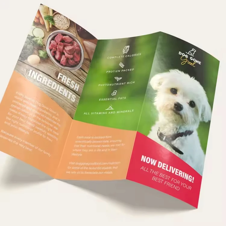Wholesale Custom Cheap A3 A4 A5 Size Advertising Promotion Folding Flyers, Brochures, Flyers Printing Copperplate Paper