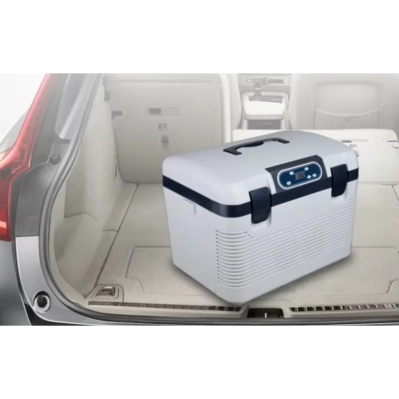 توم Auto14L ثنائي النواة مبرد ثلاجة السيارة الصغيرة وسخان مع مقبض مبرد ثلاجة السيارة والمكتب المنزلي