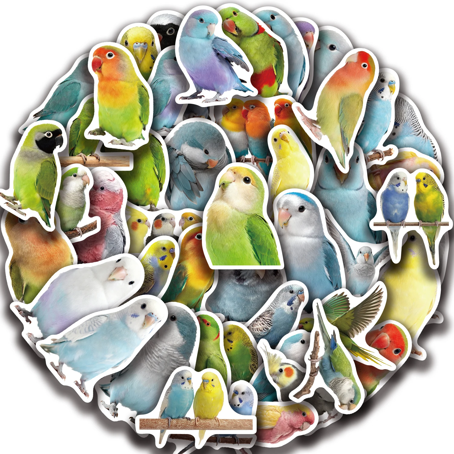 

50Pcs Colorful Parrot Doodle Realistic Animals Stickers Supplies Notebooks Luggage Waterproof Decorative Sticker