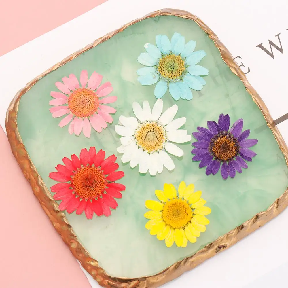 12PCS/Bag Dried Flower Diy Art Decals Crafts Epoxy Resin Daisy Mold Fillings Pressed Leaf Daisy Flower Jewelry Making Kit ﻿