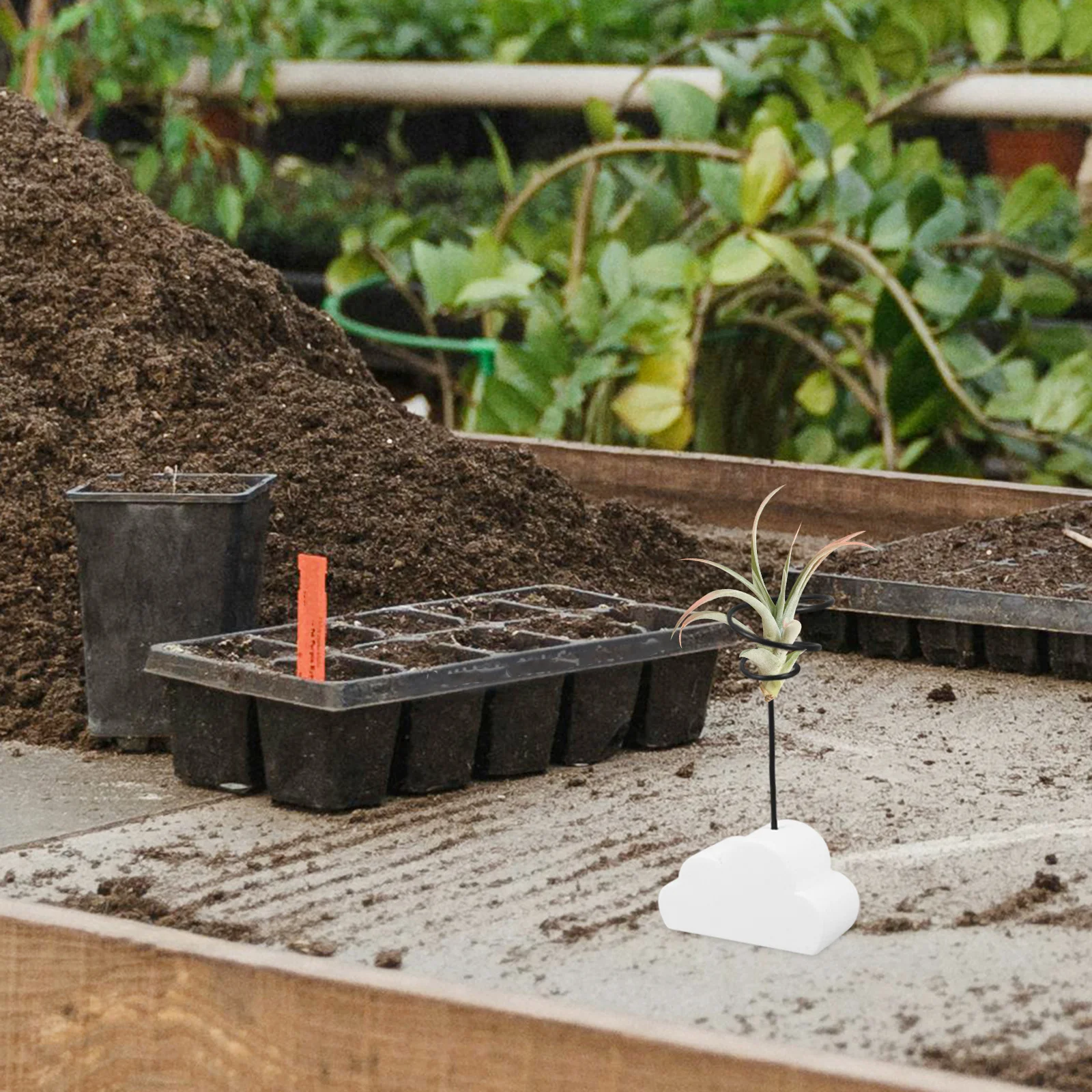 Porta piante ad aria Fioriera in cemento per acqua Supporto decorativo per piante ad aria da tavolo Supporto per piante piccole Display per ufficio domestico