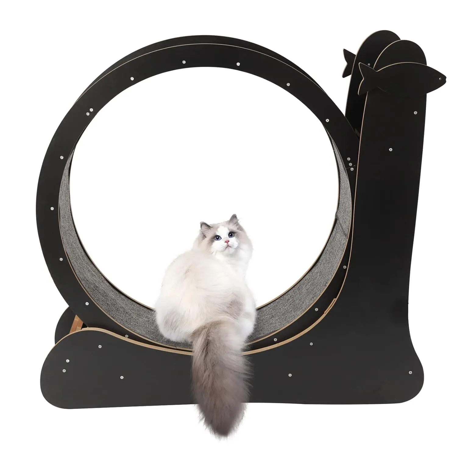 

Quiet Exercise Wheel Cat Treadmill Indoor Running Low Noise 3 Sizes Customized