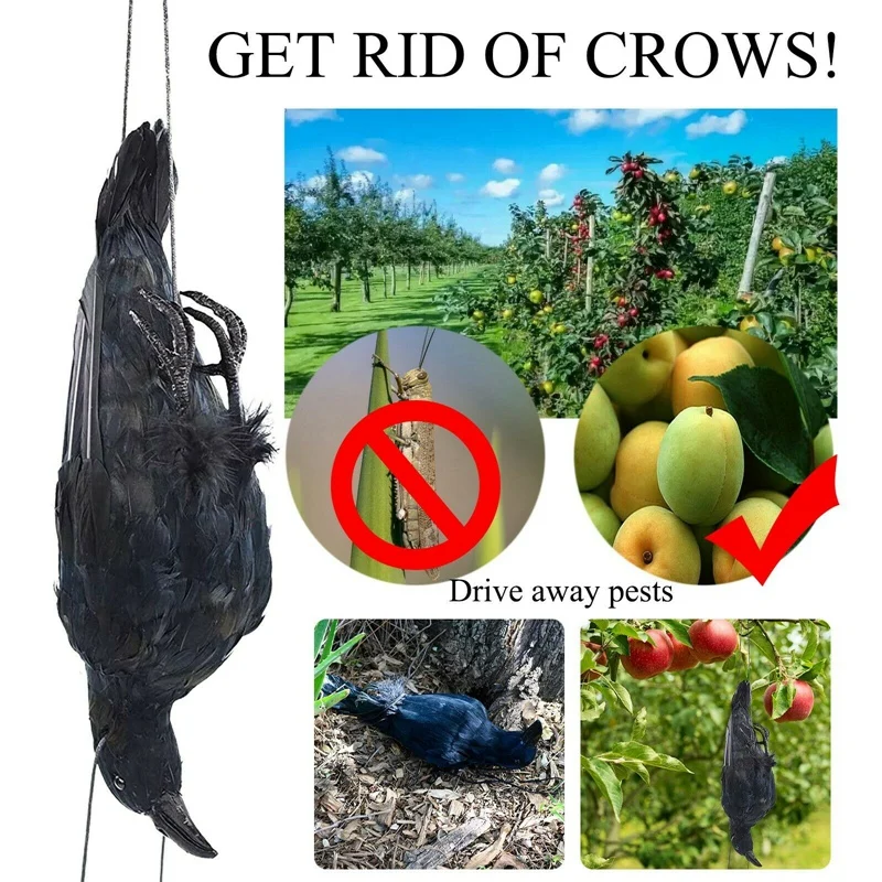 Realistic Hanging Dead Crow Decoy Lifesize Extra Large Black Feathered Crow-AA68