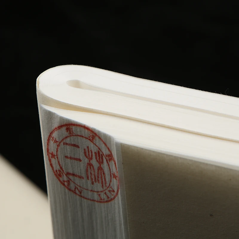 Raw Xuan Paper for Chinese Calligraphy Brush Writing and Chinese Painting Practice Regular Script Rice Paper Painting Xuan Paper