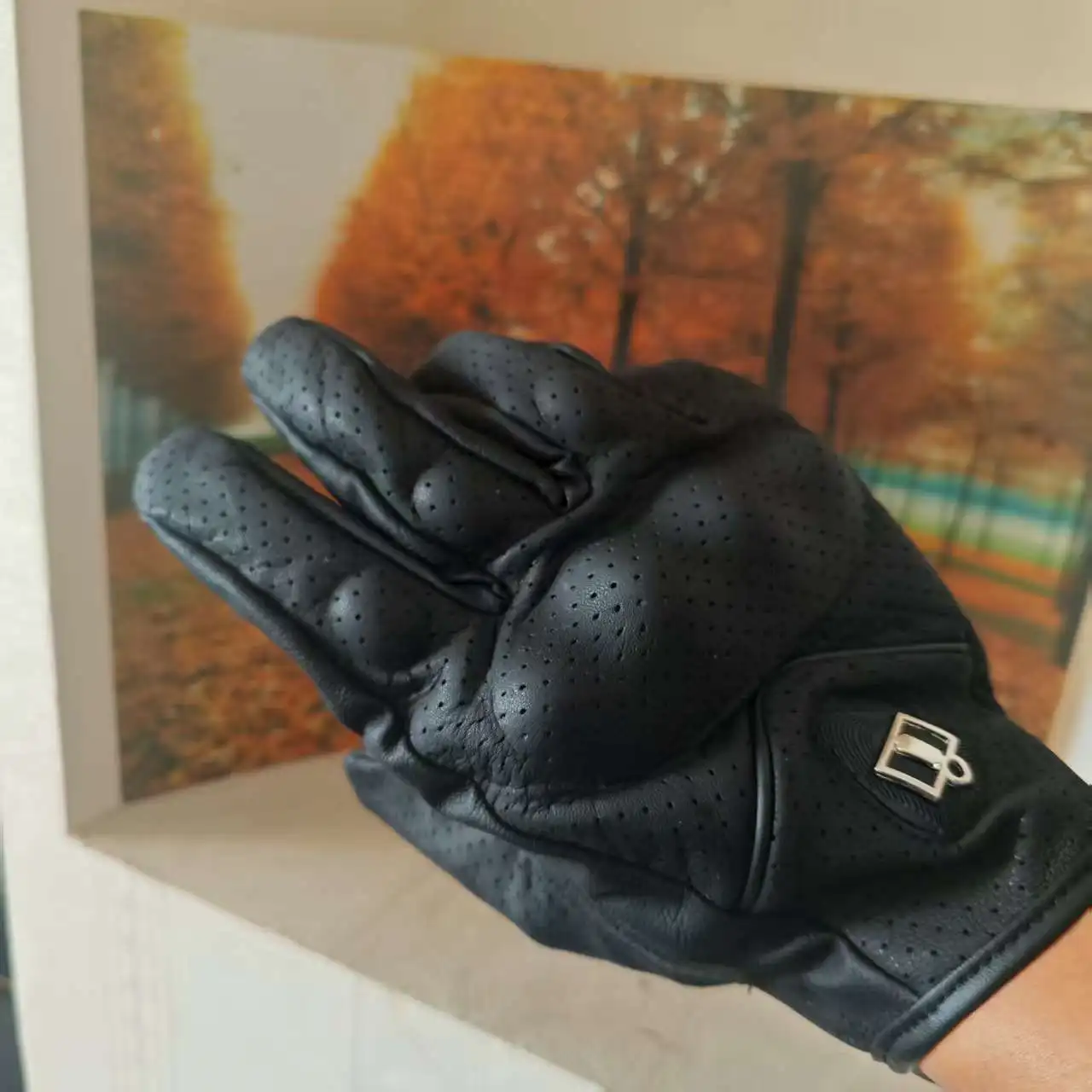 

Unisex Thermal & Cool Cheap Motorcycle Gloves Carbon Fiber Protection, Anti-Slip Grip & Touchscreen Compatibility for Outdoor