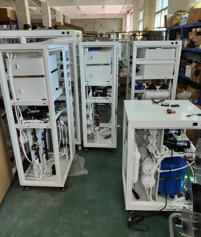 Full Automatic Ultrapure Water Equipment, Two-Stage RO EDI System, Customizable 50-300L/H