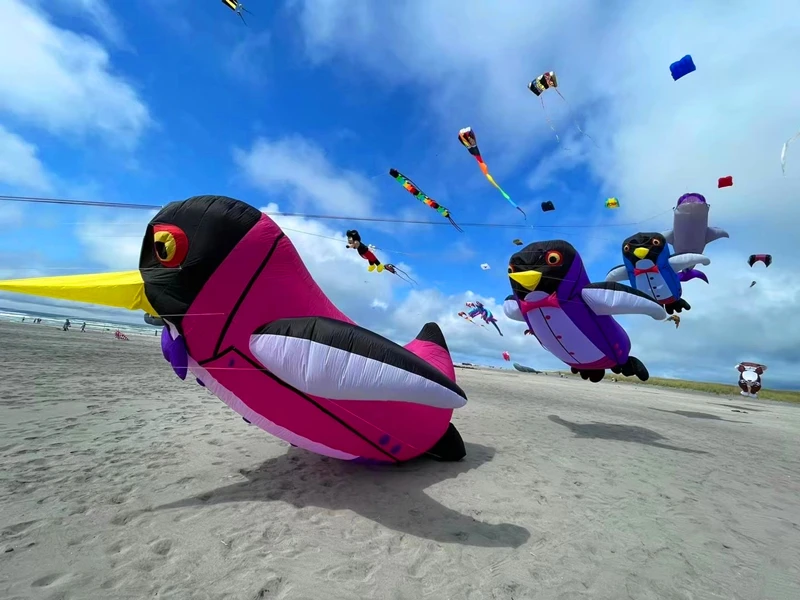 450cm 펭귄 연 날리기 부드러운 연 펜던트 풍선 연 야외 게임 연 바람 연 어린이를위한 연 나비 에어 텐트