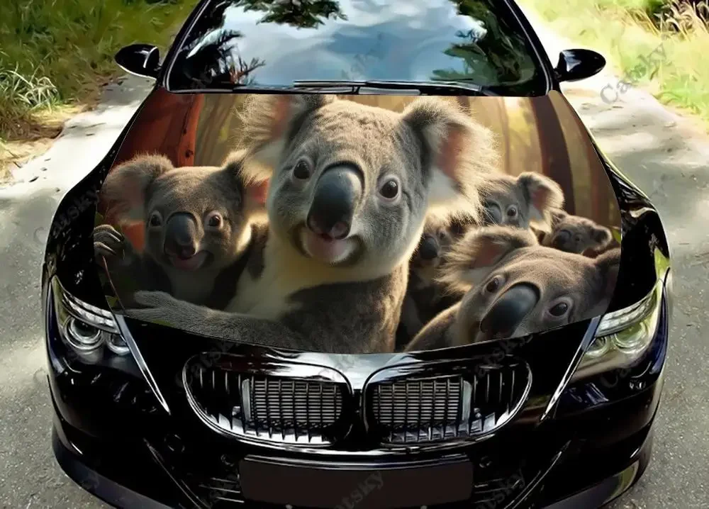 

Виниловые наклейки на капот автомобиля с медведем коала, сидящим на дереве, виниловая пленка, наклейки на крышку двигателя, аксессуары для автомобиля, защита украшения