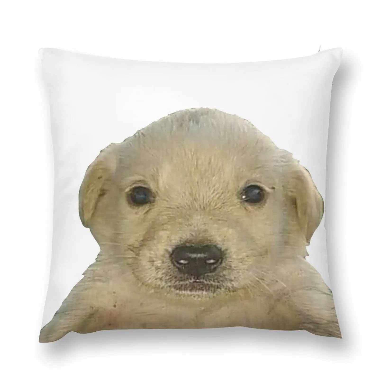 

Jotchua meme jotchua dog Throw Pillow Sofa Cushions Pillowcase Cushion