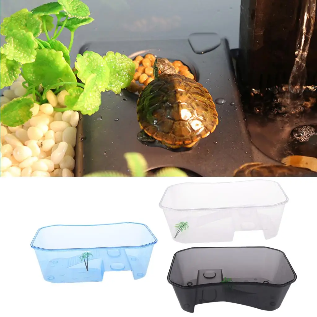 Translucent Plastic Reptile, , Turtle, Turtle, Tank, Nurseries, Terrariums, Box with Coconut Tree Ornament