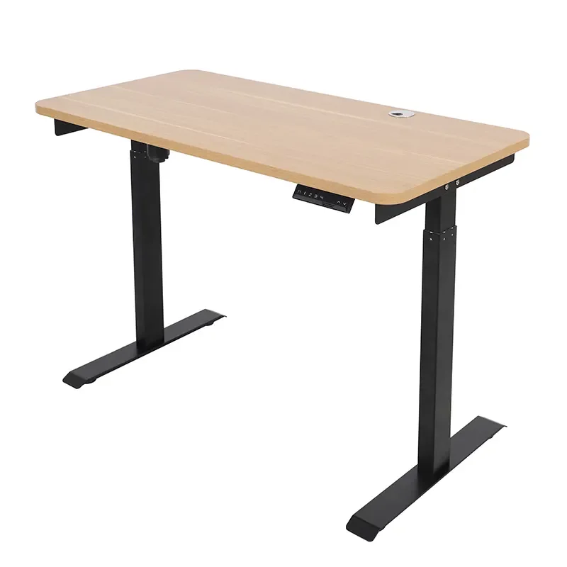

Standing Electric Desk With Dual Silent Motors Office Home High Load Capacity Adjustable Height Computer Table