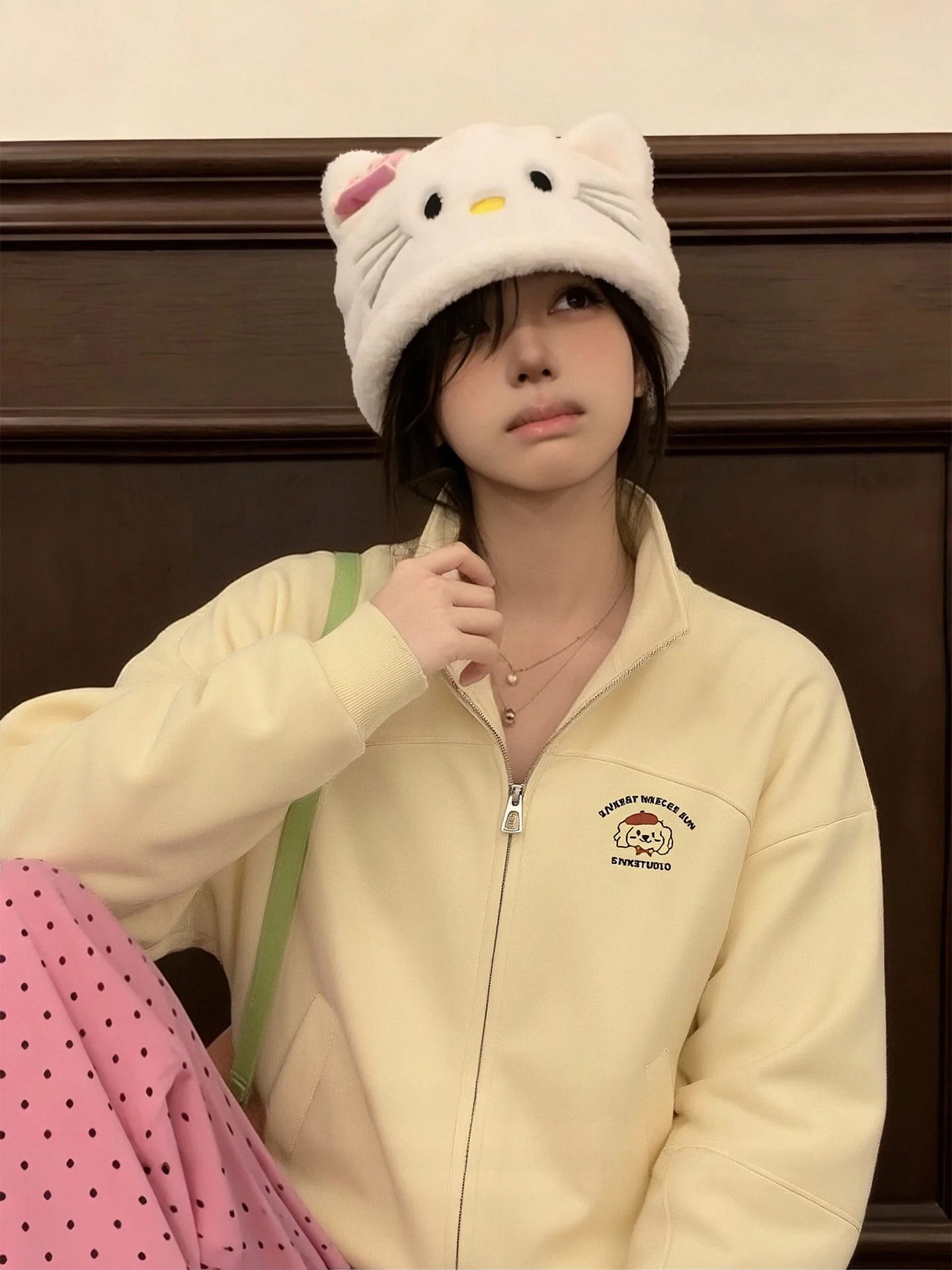 

Женская толстовка-куртка на молнии с воротником-стойкой, весенняя, с вышивкой собаки, в корейском стиле, модная, с длинными рукавами