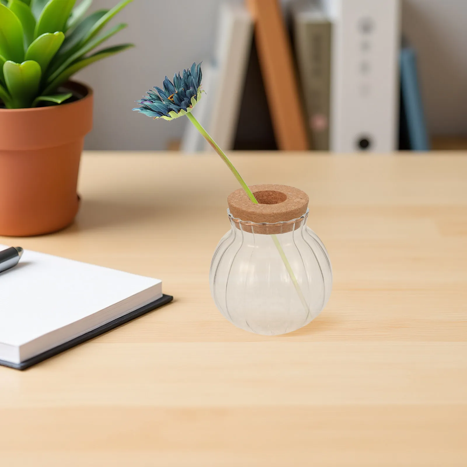 Glass Planter Vase Mini Bulb Shape with Cork Lid Transparent Hydroponic Water Plant Propagation Vase Desktop Office Home Decor