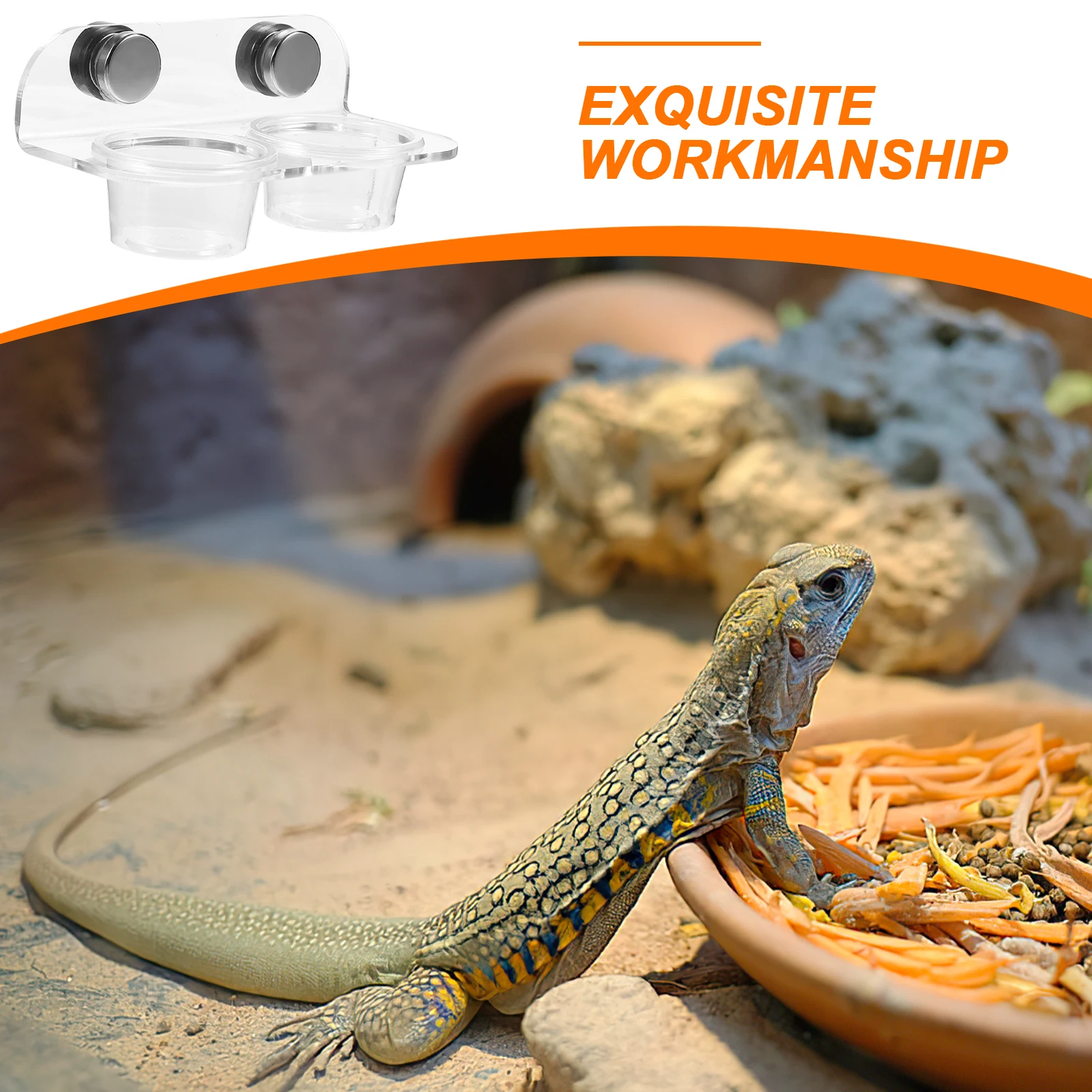 

1 Set Magnetic Reptile Food Feeder Ledge Bowl Water Cups for Gecko Tortoise Small Reptiles Feeding Supplies