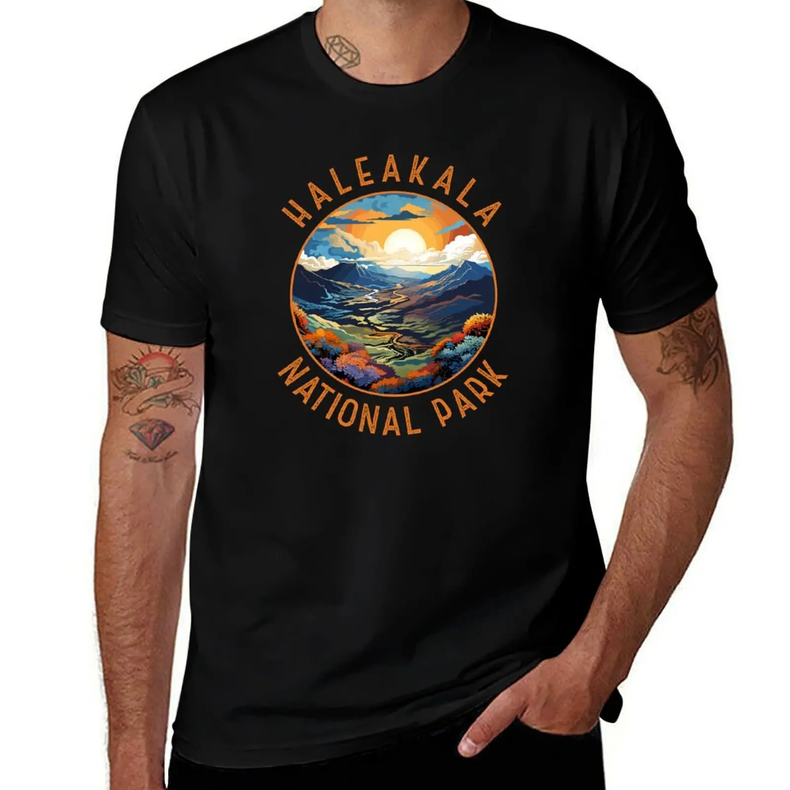 

Haleakala National Park Sunset Retro Distressed Circle T-Shirt Summer Fashion Casual Tee Shirt
