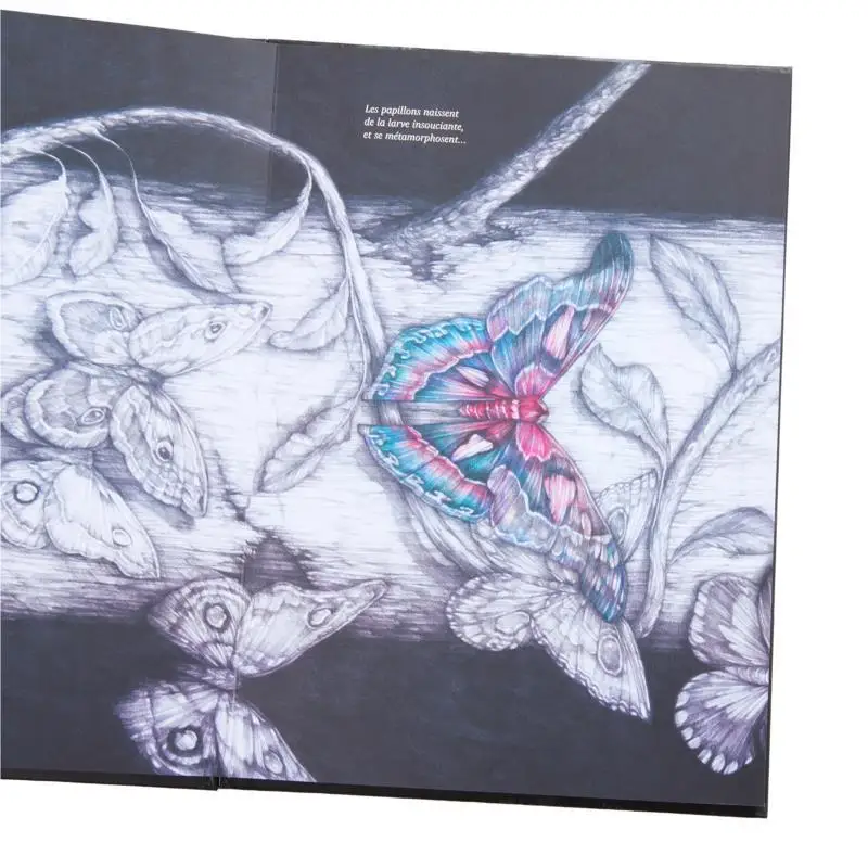 The Metamorphosis Barbara Canepa Benjamin Lacombe Marco Mazzoni Oxymore Eds 9782385610111 Book