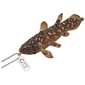Coelacanth
