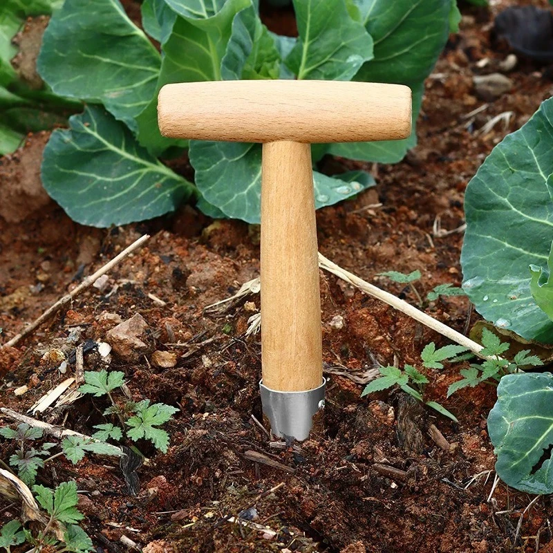 Sower Transplanting Tool for Planting Seeding Fertilizing Stainless Steel Garden Seed Dispenser Planter Hole Punch Dibber Seed
