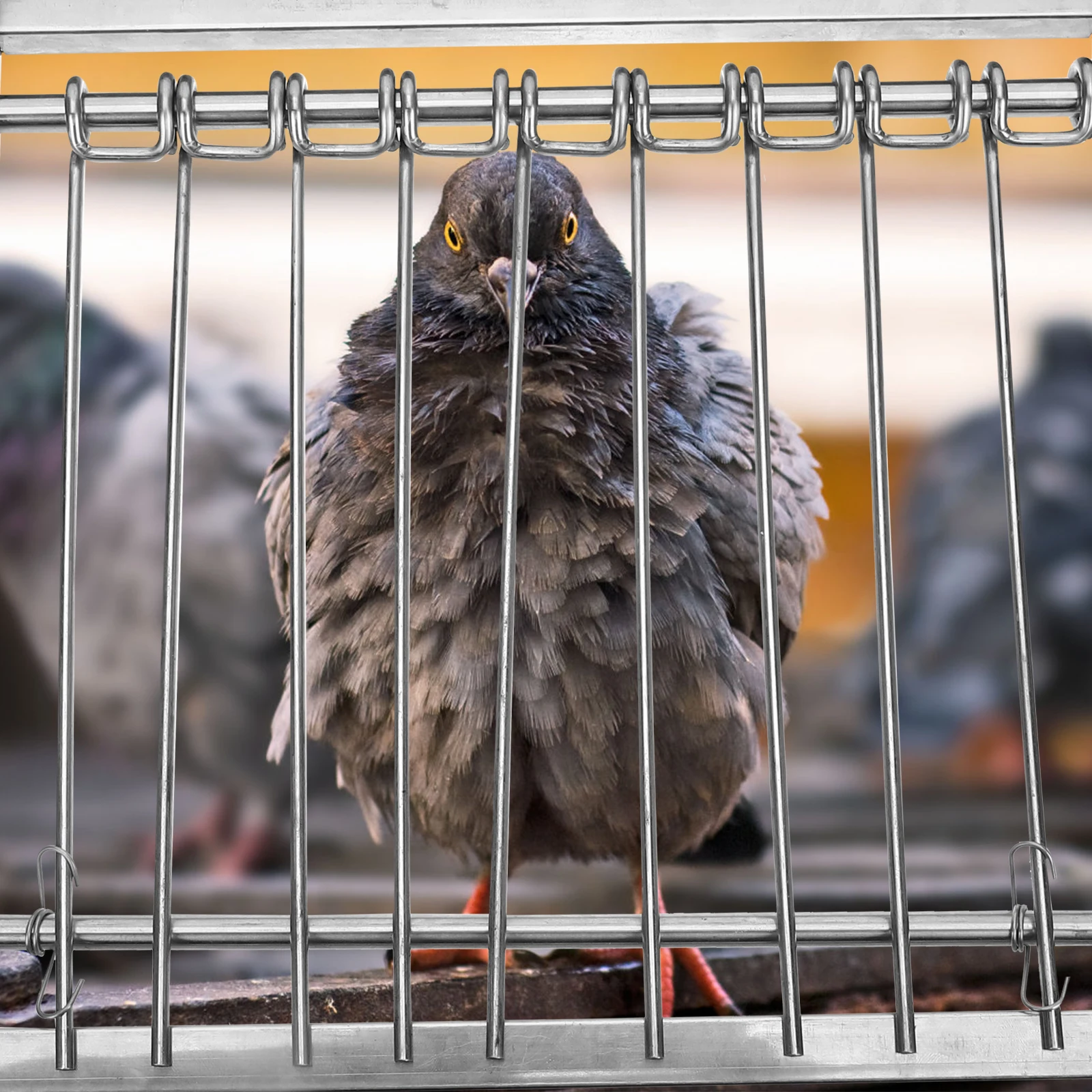 鳩ケージドアステンレス鋼自動住宅機器金属鳩入口レーシングペットドア供給