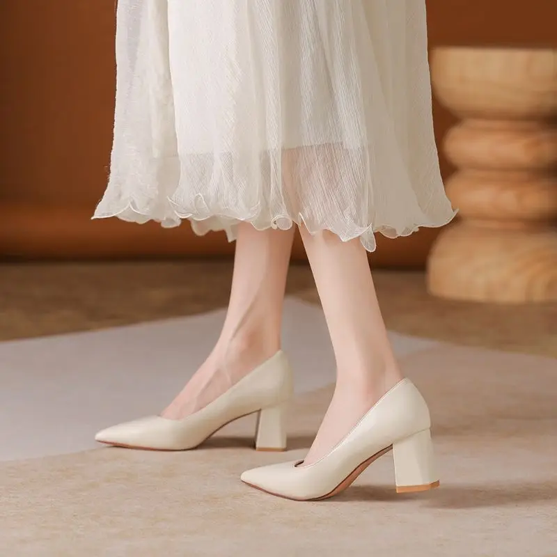 Glossy Thick Heel Pointed Head Occupational OL Commuter Interview Work Shoes Temperament Versatile 2026 New Models
